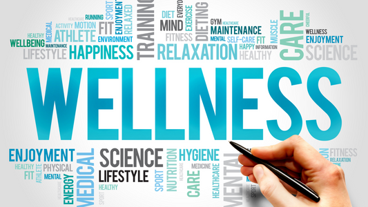 Exploring the Definition of Wellbeing and Illuminating its Importance